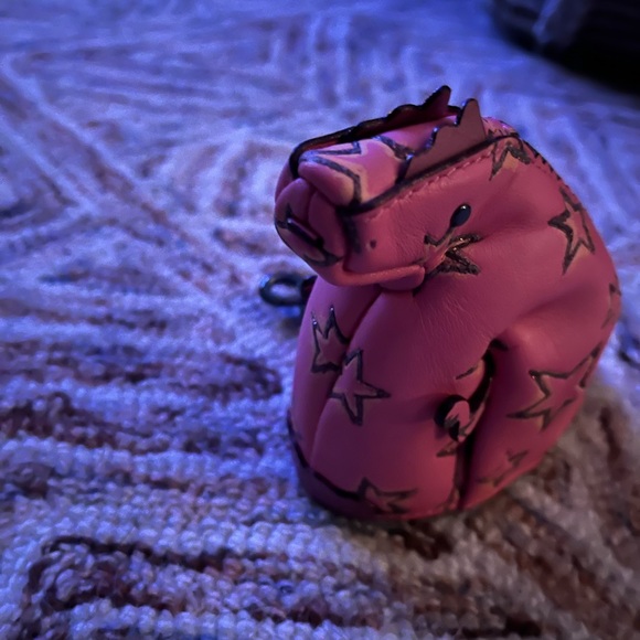 NWT! Coach XXL Pink tote 5 set/final price drop!!!!! FIRM - Picture 4 of 16